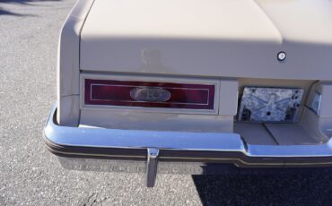 Buick-Riviera-XX-Anniversary-Edition-1983-Coupe-33