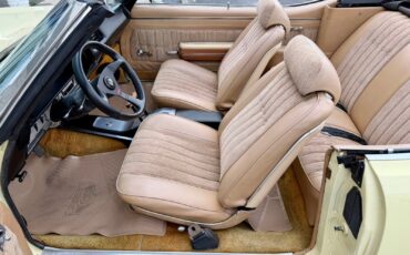 Buick-Skylark-1969-Convertible-5