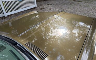 Buick-electra-225-convertible-1969-11