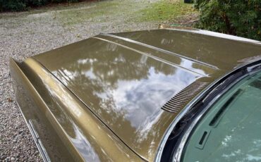 Buick-electra-225-convertible-1969-12