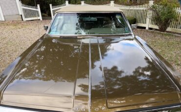 Buick-electra-225-convertible-1969-3