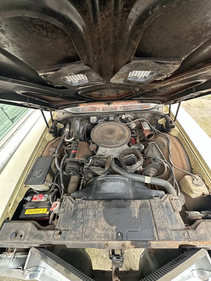 Buick-grand-sport-1970-yellow-31