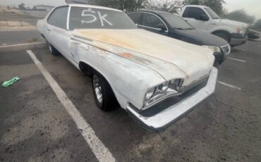 Buick-lesabre-1973-white-1