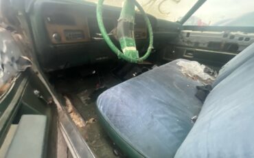 Buick-lesabre-1977-10