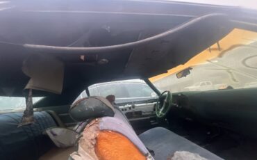 Buick-lesabre-1977-18