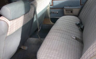 Buick-lesabre-1977-4