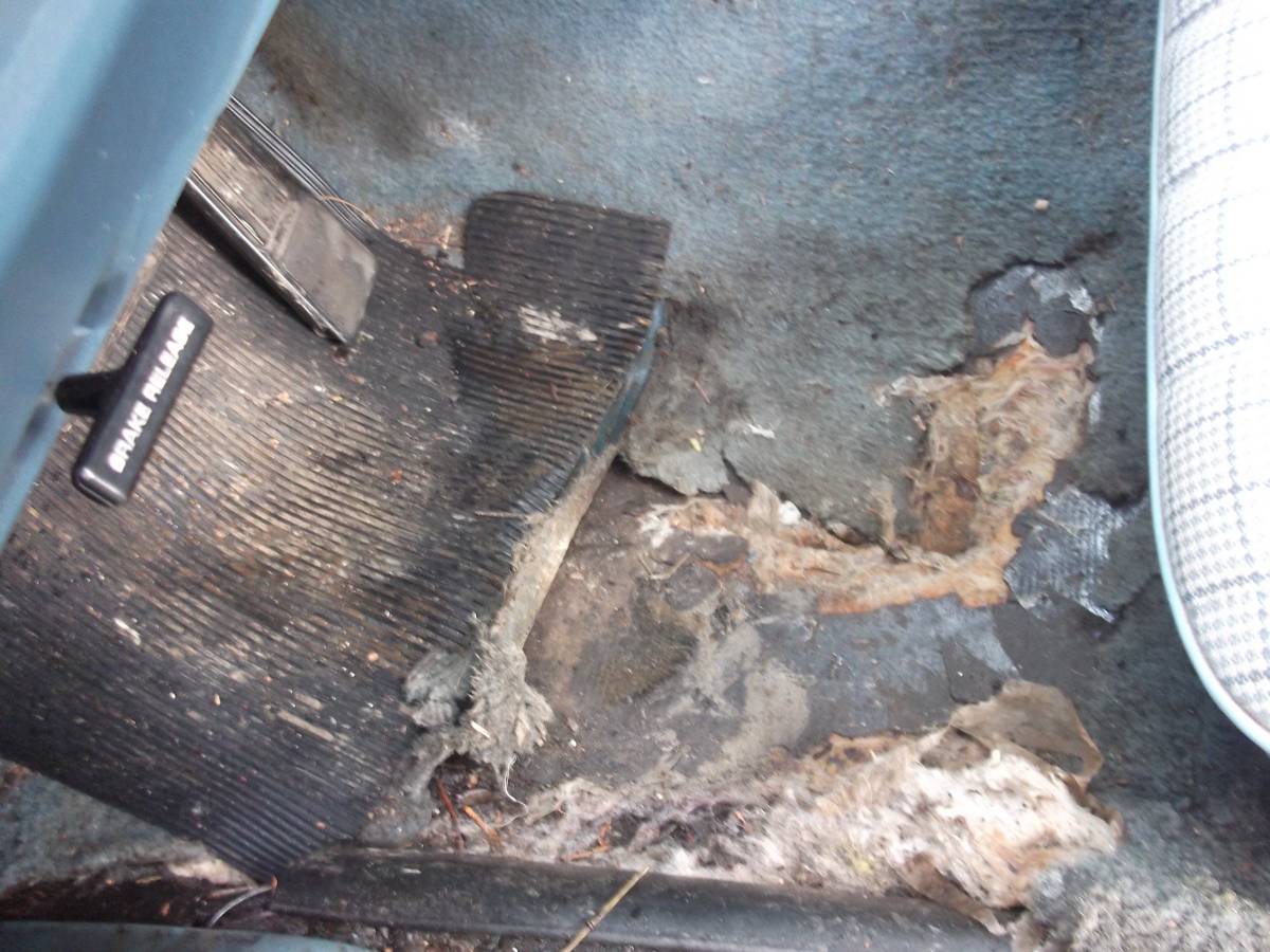 Buick-lesabre-1977-5