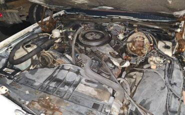 Buick-lesabre-1979-white-7