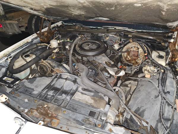 Buick-lesabre-1979-white-7