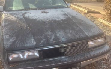 Buick-lesabre-1980-blue-1