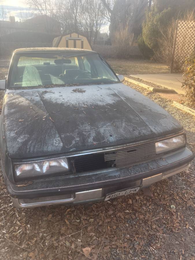 Buick-lesabre-1980-blue-1