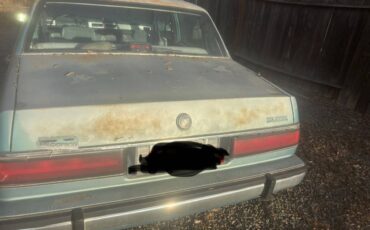 Buick-lesabre-1980-blue-5