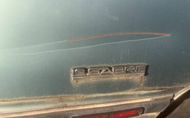 Buick-lesabre-1980-blue-6