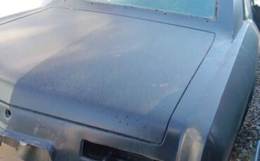 Buick-riviera-1964-green-4