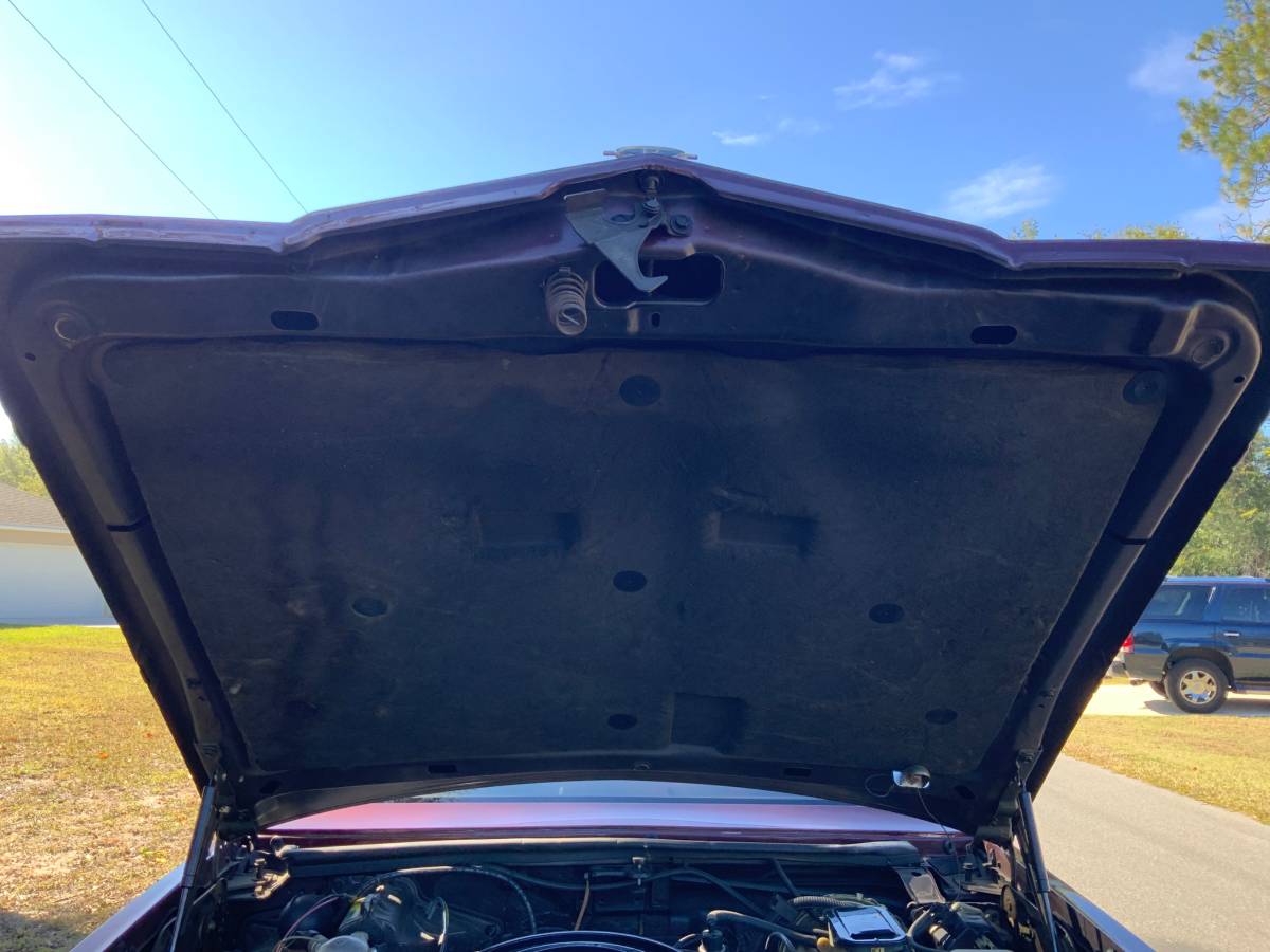 Buick-riviera-1983-16