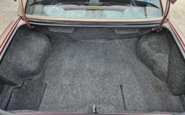 Buick-riviera-1989-brown-22