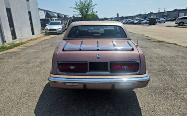 Buick-riviera-1989-brown-5