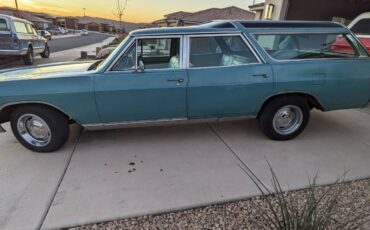 Buick-sportwagon-1966-2