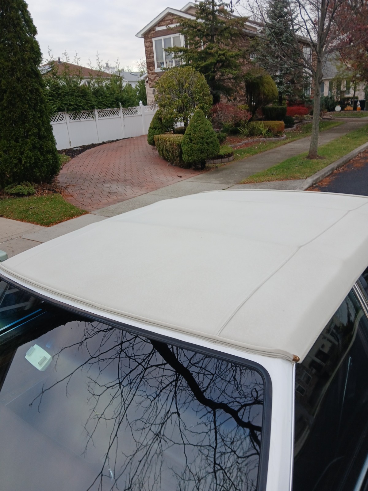 Cadillac-Seville-1985-Coupe-5