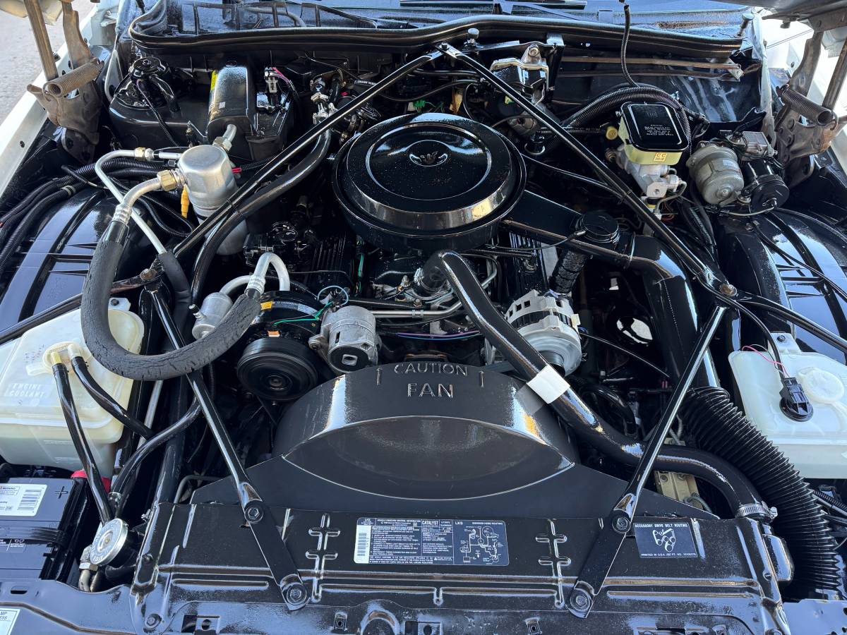 Cadillac-brougham-1991-white-13