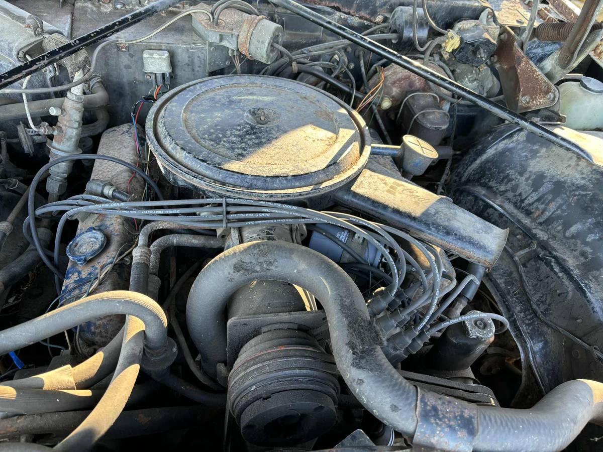 Cadillac-coupe-deville-1969-8