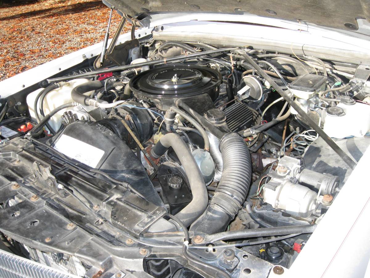 Cadillac-eldorado-1985-white-13