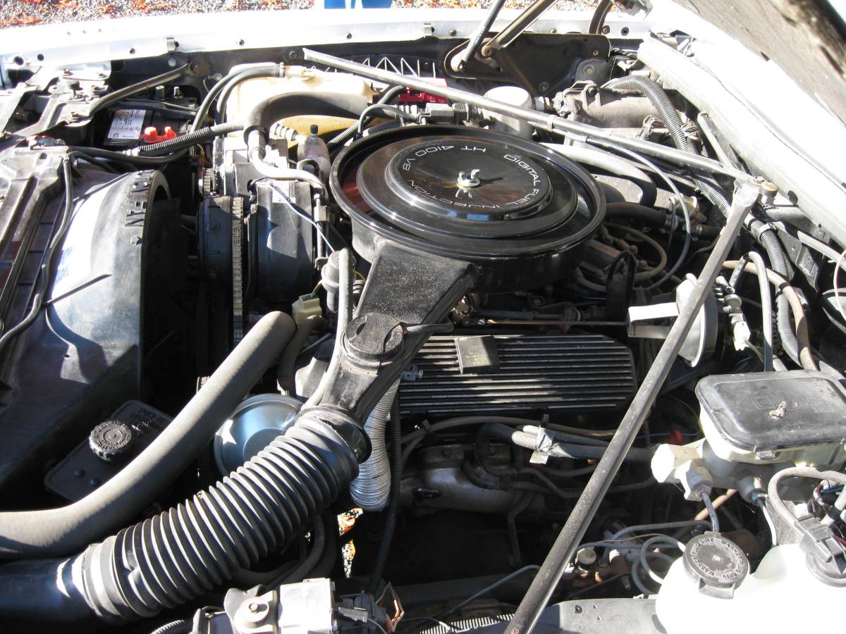 Cadillac-eldorado-1985-white-14