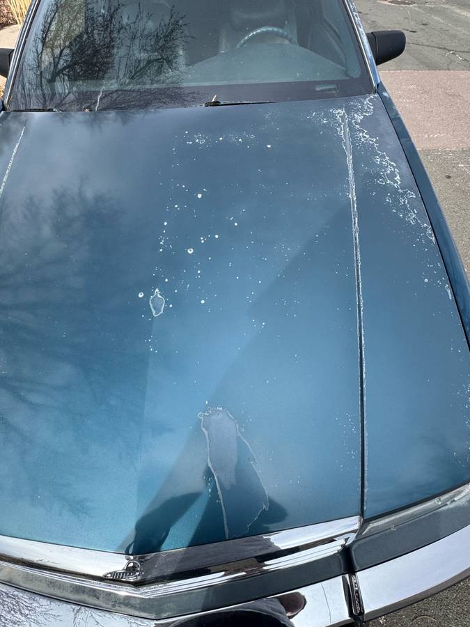 Cadillac-eldorado-1992-blue-11