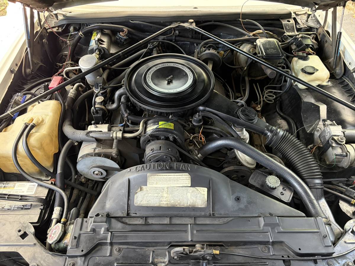 Cadillac-eldorado-biarritz-1984-white-8