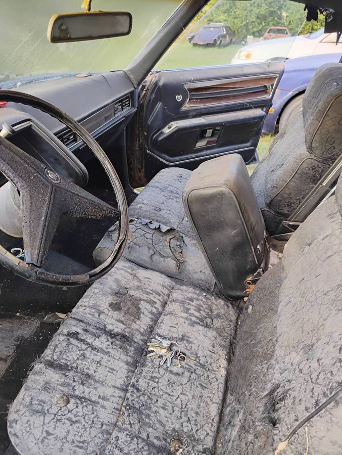 Cadillac-fleetwood-brougham-1969-black-5