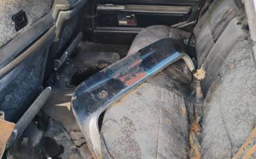 Cadillac-fleetwood-brougham-1969-black-6