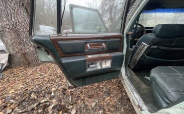 Cadillac-fleetwood-brougham-1978-green-11