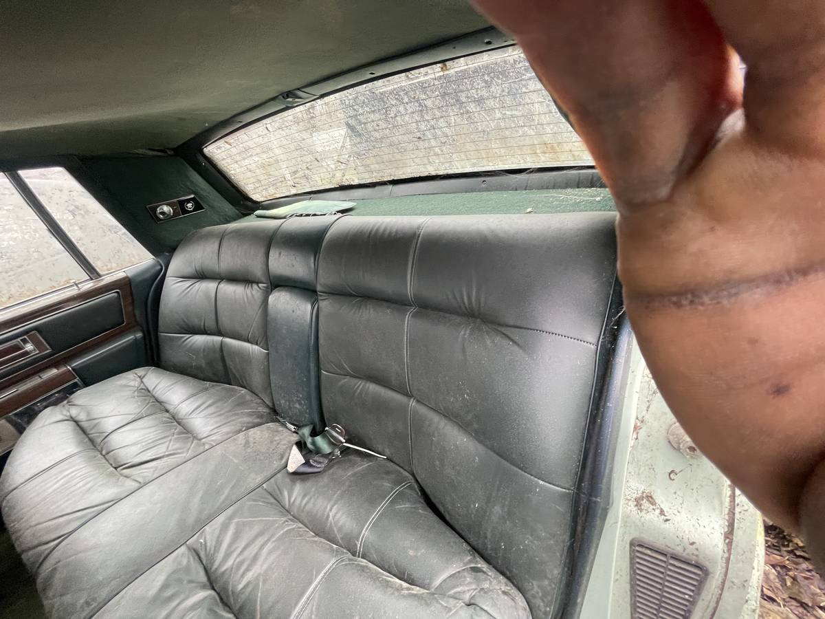 Cadillac-fleetwood-brougham-1978-green-17