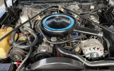 Cadillac-san-remo-coupe-1977-black-111