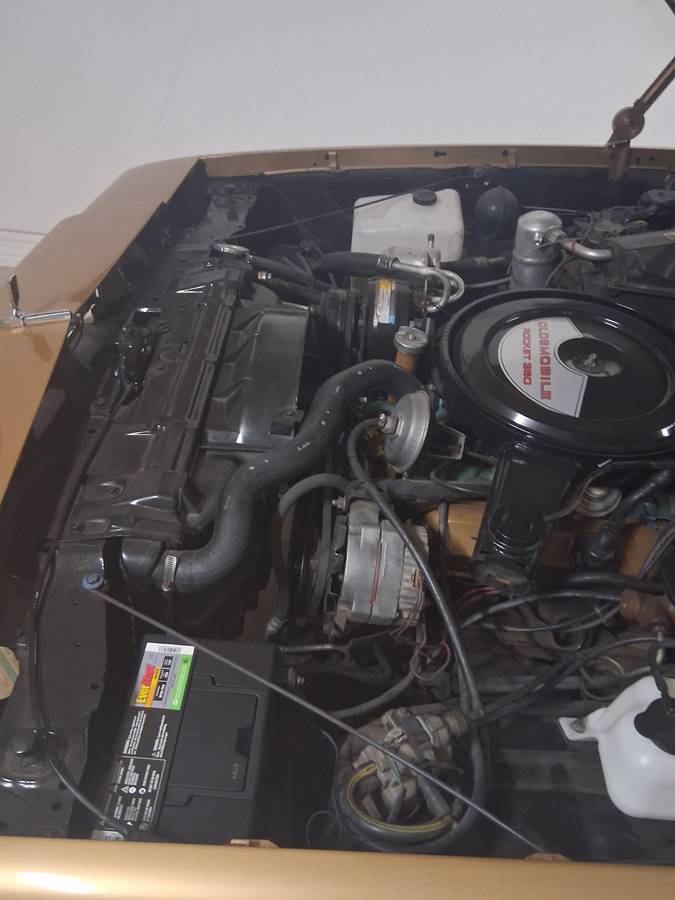 Camaro-mustang-corvette-c10chevelle-challenge-1979-5