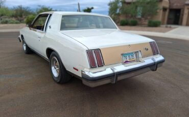 Camaromustangc10corvettechallengerchevelle-1979-3