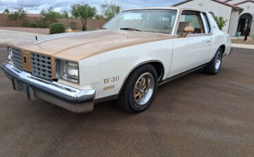 Camaromustangc10corvettechallengerchevelle-1979-5