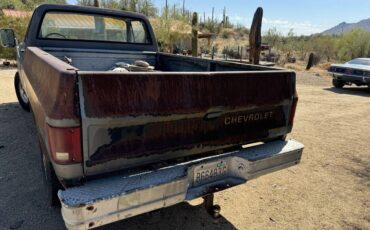 Chev-c20-pickup-1979-1