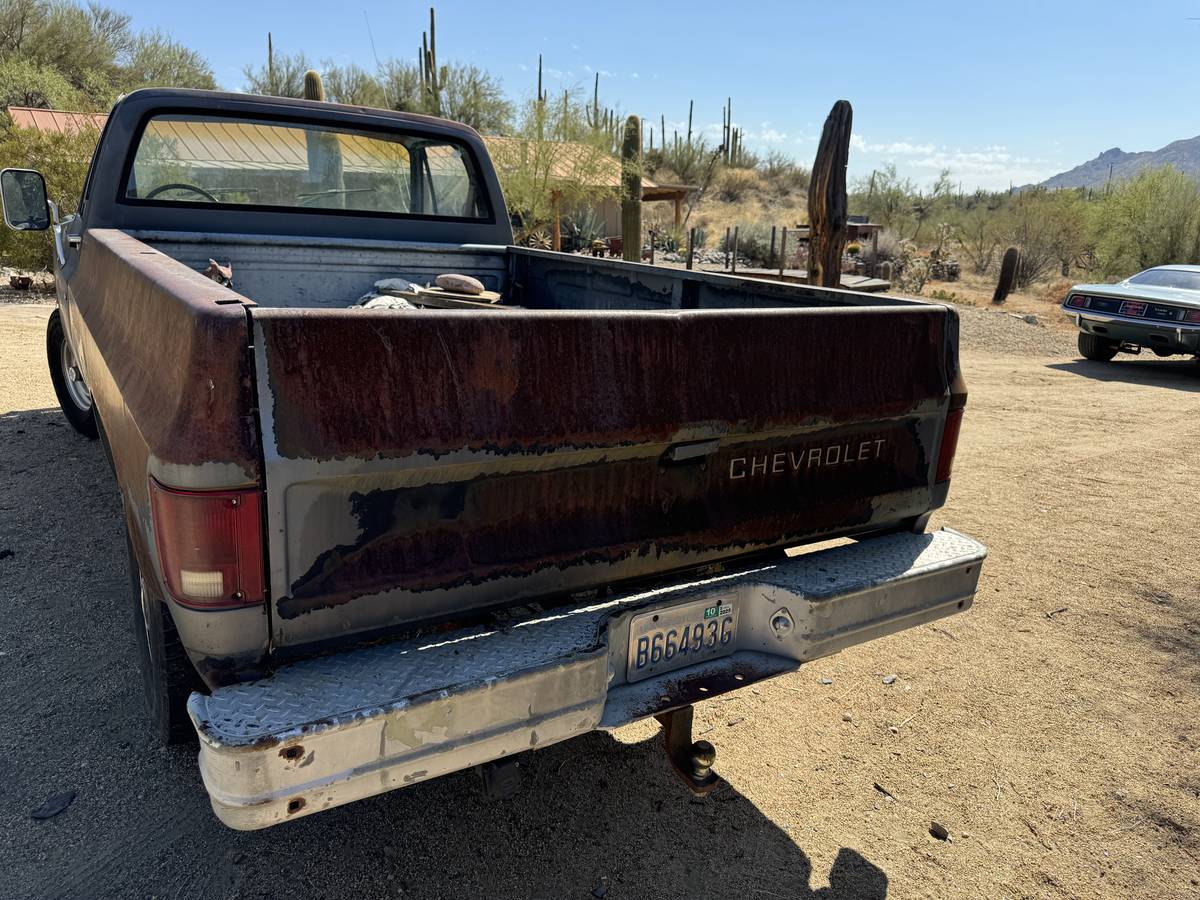 Chev-c20-pickup-1979-1