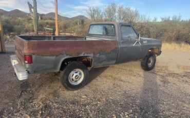 Chev-c20-pickup-1979