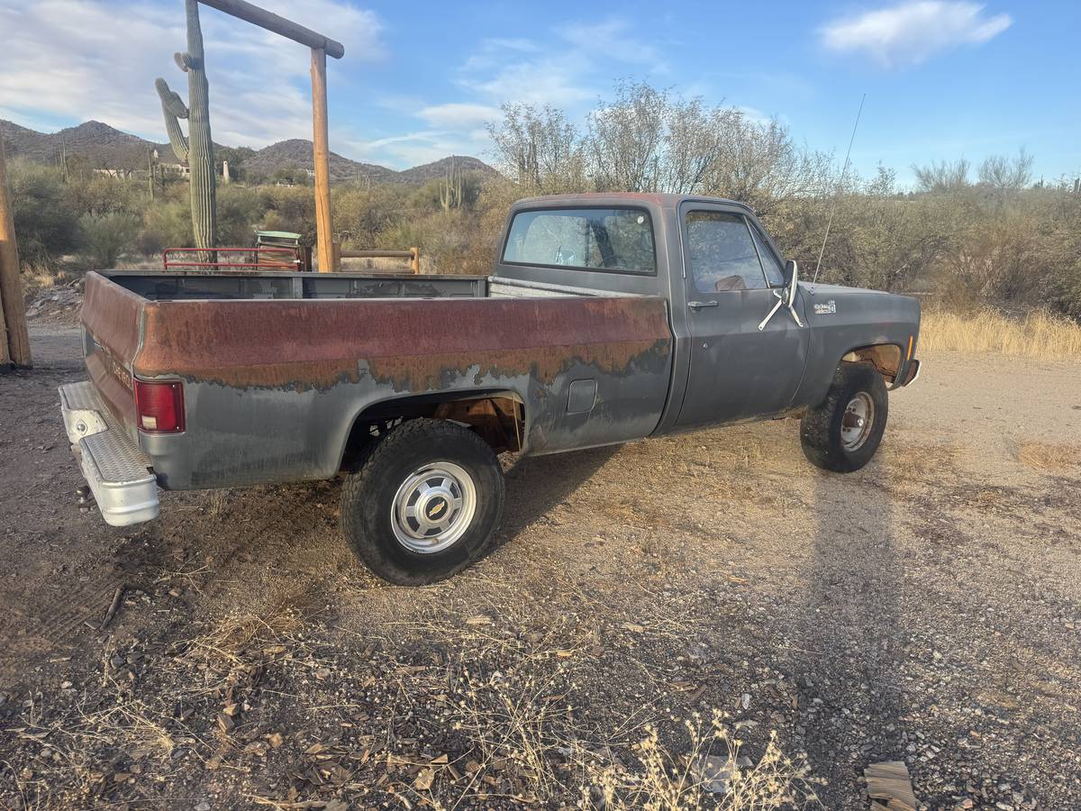 Chev-c20-pickup-1979