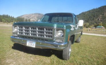 Cheverolet-1500-1979-green-1