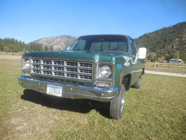 Cheverolet-1500-1979-green-1