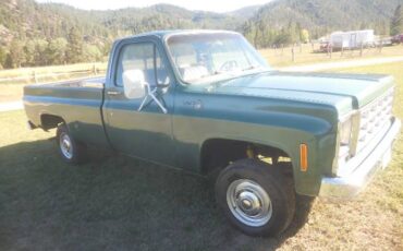 Cheverolet-1500-1979-green-2