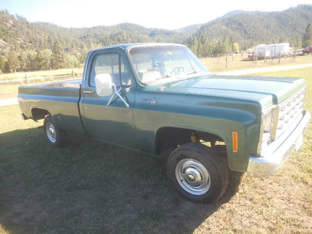 Cheverolet-1500-1979-green-2