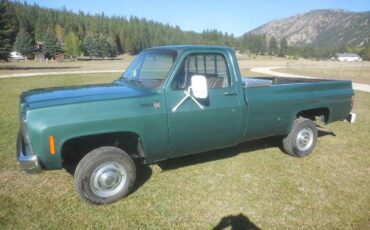 Cheverolet-1500-1979-green