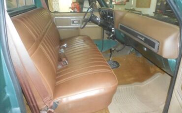 Cheverolet-1500-1979-green-5