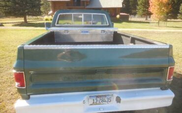 Cheverolet-1500-1979-green-8