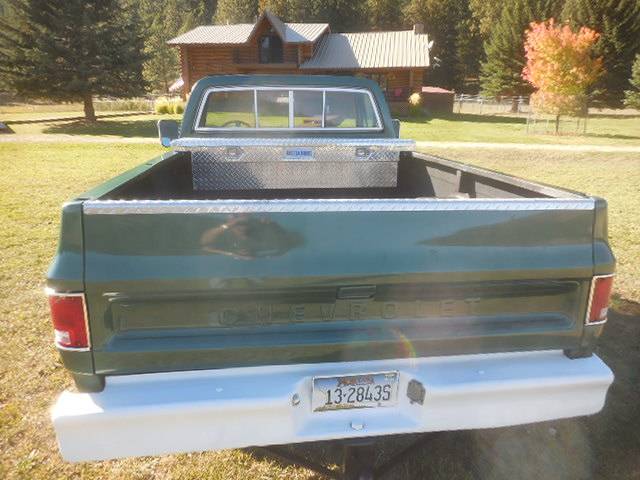 Cheverolet-1500-1979-green-8