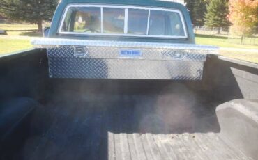 Cheverolet-1500-1979-green-9